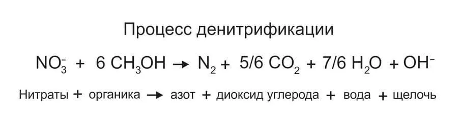 biologicheskoe_udalenie_azota_4.jpg